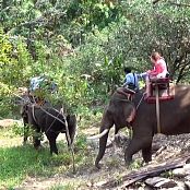Aschenputtel-Geschichte Aschenputtel-Mädchen-Spaziergang mit einem Elefanten-HD-Video 002