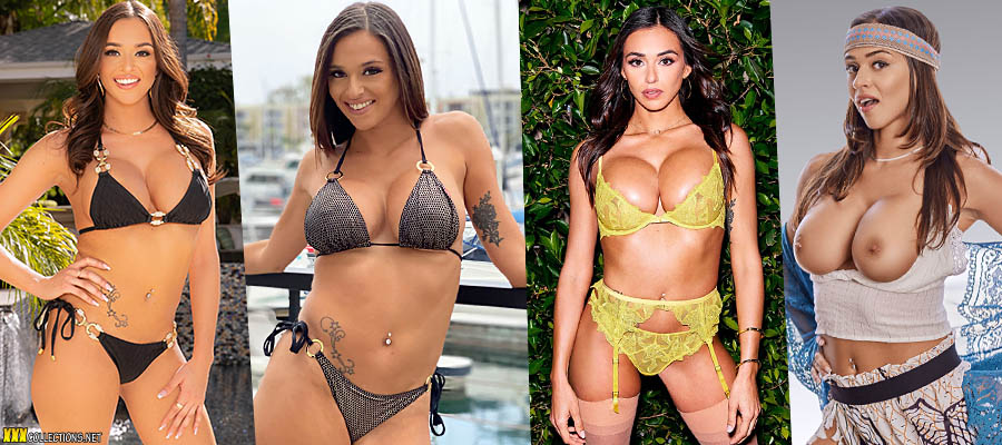 Download Armani Black Pornstar Videos Megapack Collection