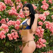 Download Veronica Perez Glittery Blue & Gold TCG Picture Set 002