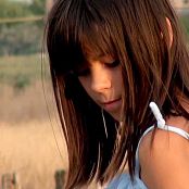 Download Steppe Flower HD Video 292