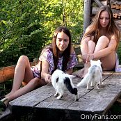 Download Cinderella Story Juliet Summer With Kittens Picture Set 002