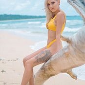 Darshelle Stevens Driftwood Picture Set