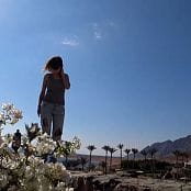 Mouse Trip HD Video 341
