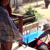 Cinderella Story Cinderella Girl Walk With An Elephant Video 001 240421 mp4 