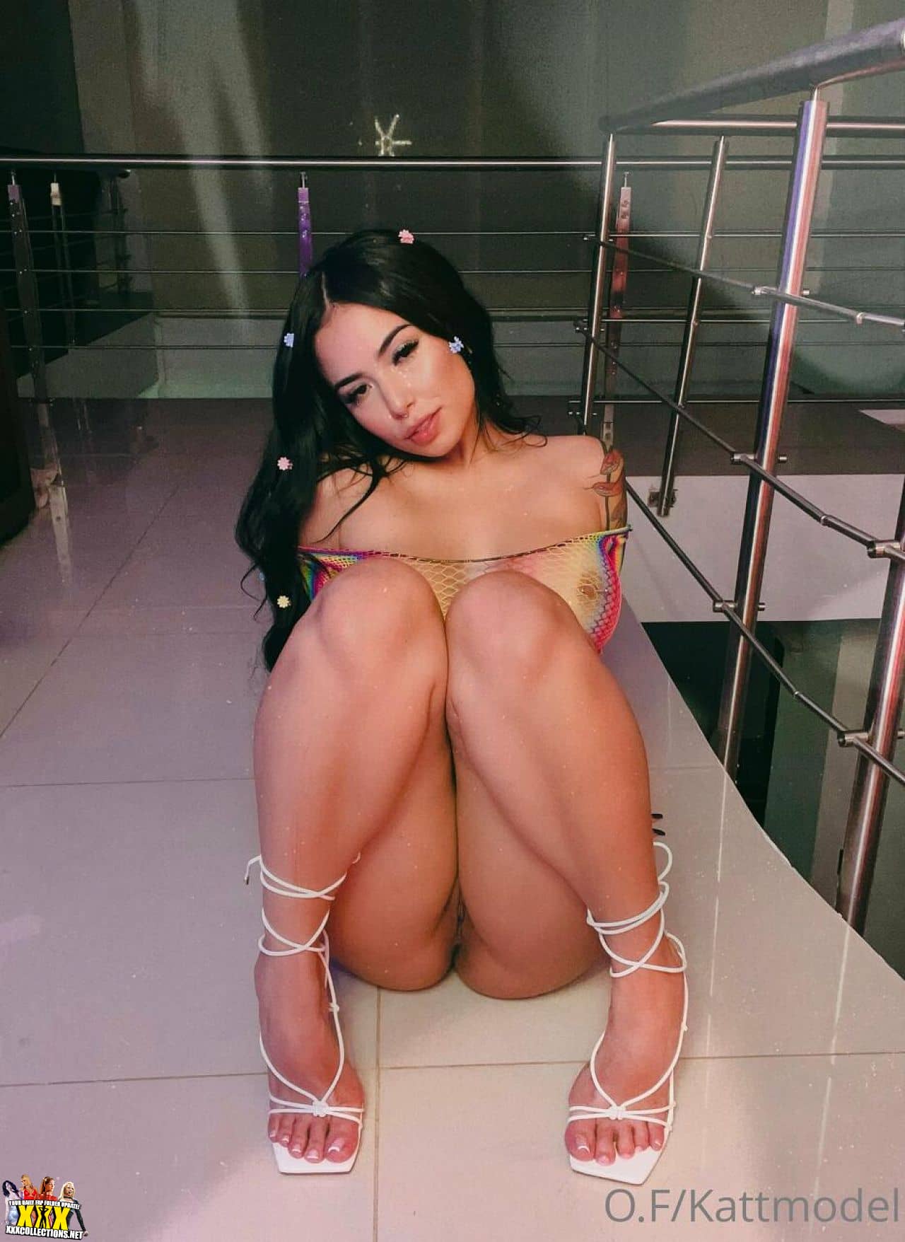 Kattmodel