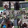 The English Mansion Stables Lexis New Puppy Video 080423 mp4