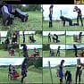 The English Mansion Stables Rubber Horse Drawn Cart Video 080423 mp4