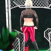 Britney Spears Circus Tour Bootleg Video 378mp4 00001