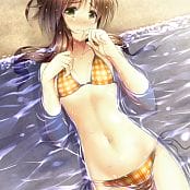 Hentai And Anime Babes Picture Pack 018 0001047