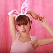 Silver Stars Eva Bunny Picture Set 1