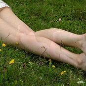 Petal Stone HD Video 343 181118 mp4 