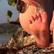 Petal Stone HD Video 352 271118 mp4 