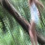 RealPeachez Video Siterip forestshoot wmv 0000