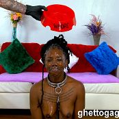 GhettoGaggers Playful Pup Shows Off 1080p Video 180224 mp4