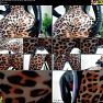 Arya Grander Amazing FaceSitting POV FemDom Latex Rubber Arya Grander 1080p Video 051123 mp4