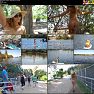 BralessForever Solo Stand Up Paddleboarding Video 261123 mp4