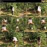 Vanessa Decker LoveWetting Vanessa Bonus with Vanessa 6 2014 10 28 1080p Video 310525.mp4