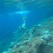 Girls Hunters of Beauty Dive Video 001 080625.mp4 snapshot 01.19 [2025.06.08 15.54.52]