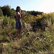 Cinderella Story Wild Kitty Nature Set 005 006