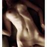 Muse 007