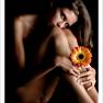 Muse 056