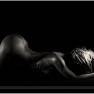 Muse 066