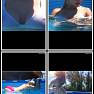 Sexy Pattycake Remastered Bra Panty Swim Pics 170625