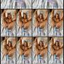 Dolly Dyson OnlyFans Video 095 220625.mp4