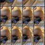 Dolly Dyson OnlyFans Video 194 220625.mp4