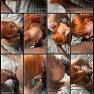 Dolly Dyson OnlyFans Video 274 220625.mp4