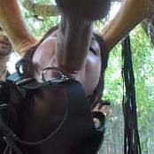 Jessica Fiorentino Rocco Animal Trainer 6 Untouched DVDSource TCRips Video 190625.mkv snapshot 07.40 [2025.06.24 09.43.45]