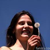Cinderella Story Nika Dandelions Set 006 009