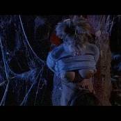 Jenna Jameson DreamQuest Scene 1 Untouched DVDSource TCRips Video 260625.mkv snapshot 05.47 [2025.06.26 17.03.41]