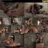 TSSeduction Video 6176 Foxy Lobo Meet Foxy Her 10 Inch Cock 040725.mp4
