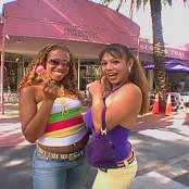 Reina Leone Ball Honeys 2 DVDR Video