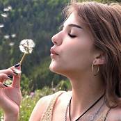 Cinderella Story Mia Dandelion Field Set 003 024