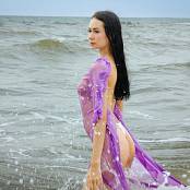 LeidyMarvel Translucent 032