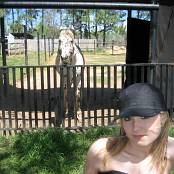 Kittys Panties Set Zoo IMG 5387 01