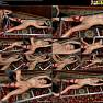 Tickling Submission Forced Orgasm Leonelle Knox is forced to orgasm orgleonelleknoxsm1280w 01 720p Video 230825.wmv