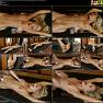 Tickling Submission Forced Orgasm Ultra ticklish Victoria Puppy in orgasm orgvictoriapuppyknight1280m 01 720p Video 230825.mp4