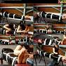 Tickling Submission Tickled Feet Ticklish Mummy Avril tfavrilkd1280w 01 720p Video 230825.wmv