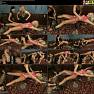 Tickling Submission Tickling Extra ticklish Victoria puppy ticvictoriapuppymx1280w 01 720p Video 230825.wmv