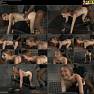 Sexually Broken Tied Up and Pounded Ela Darling Video 110925.mp4