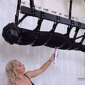 Allie Heart Brat Vibrator and Zapper.mp4 Video 240925.mp4 snapshot 03.39 [2025.10.02 15.10.51]