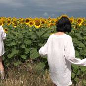 Girls Hunters of Beauty Sunflowers HD Video 001 031025.mp4 snapshot 01.15 [2025.10.03 22.29.43]