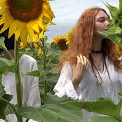 Girls Hunters of Beauty Sunflowers HD Video 001 031025.mp4 snapshot 02.48 [2025.10.03 22.29.45]