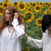 Girls Hunters of Beauty Sunflowers HD Video 001 031025.mp4 snapshot 03.23 [2025.10.03 22.29.46]