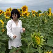 Girls Hunters of Beauty Sunflowers HD Video 002 031025.mp4 snapshot 00.27 [2025.10.03 22.29.49]