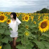 Girls Hunters of Beauty Sunflowers HD Video 002 031025.mp4 snapshot 00.52 [2025.10.03 22.29.55]