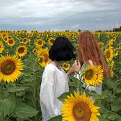 Girls Hunters of Beauty Sunflowers HD Video 002 031025.mp4 snapshot 01.05 [2025.10.03 22.29.50]